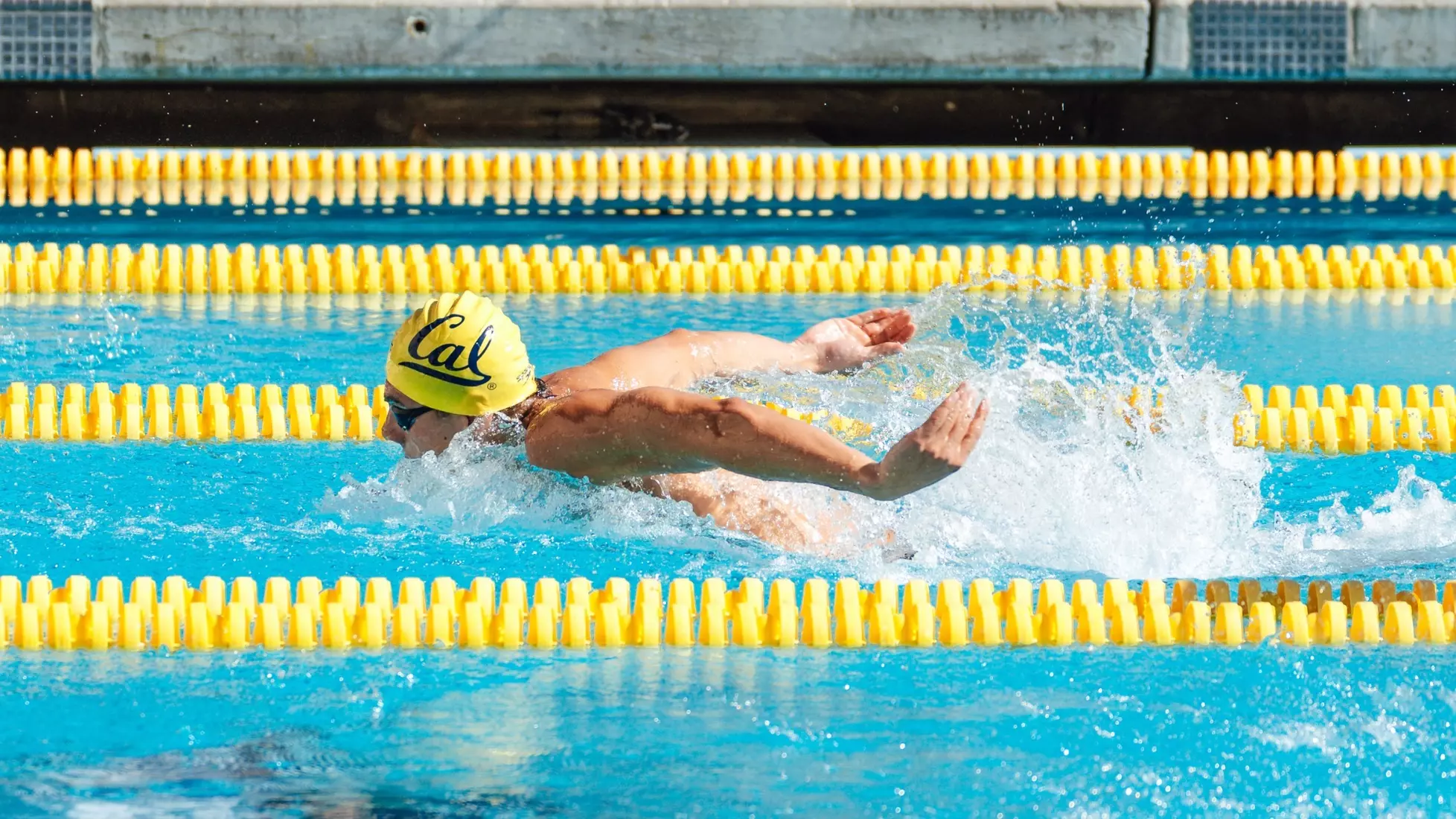 Cal Golden Bears Sweep Saint Mary’s in Dominant Dual Meet Showcase